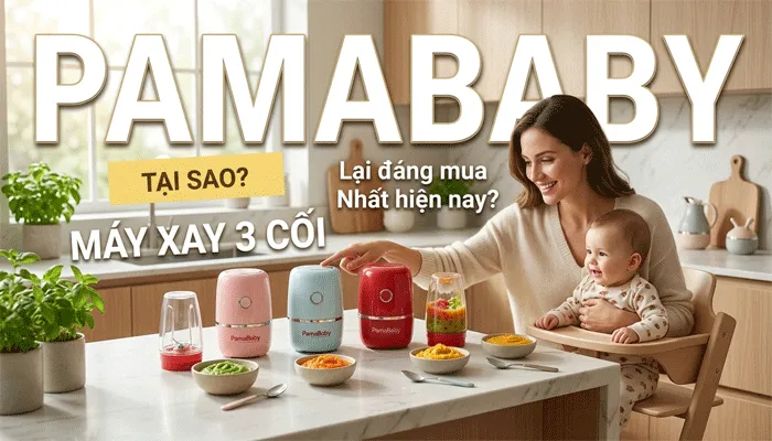 Mua máy xay 3 cối PamaBaby chính hãng tại PamaShop. Cối thủy tinh an toàn, 10 lưỡi dao xay nhuyễn mọi đồ ăn dặm trong 10 giây. Bảo hành lên tới 36 tháng.